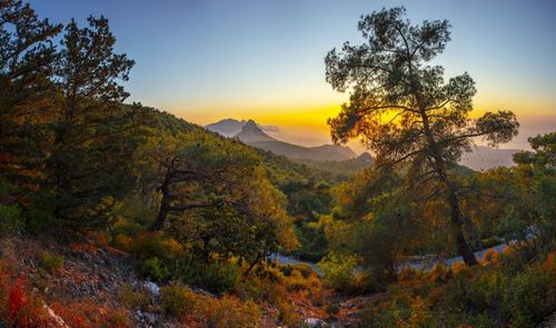 Landscape Photography